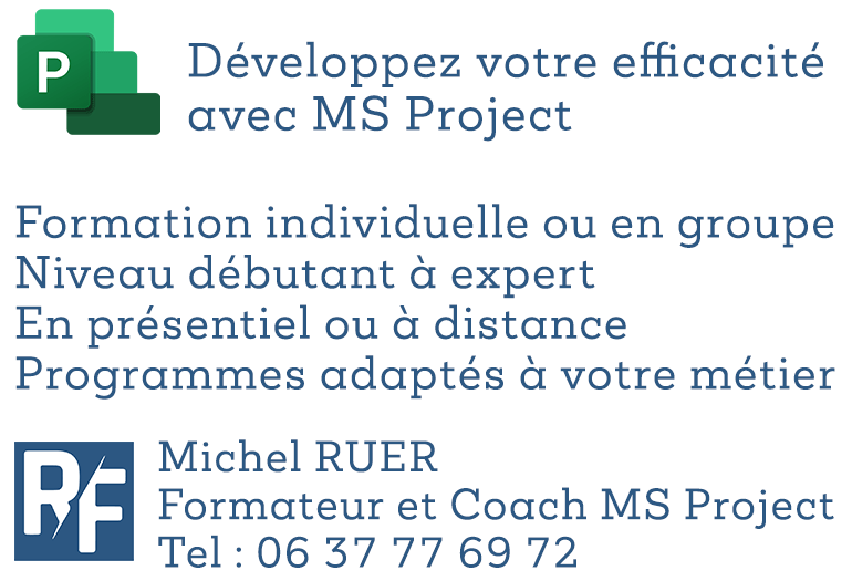 Formation MS Project